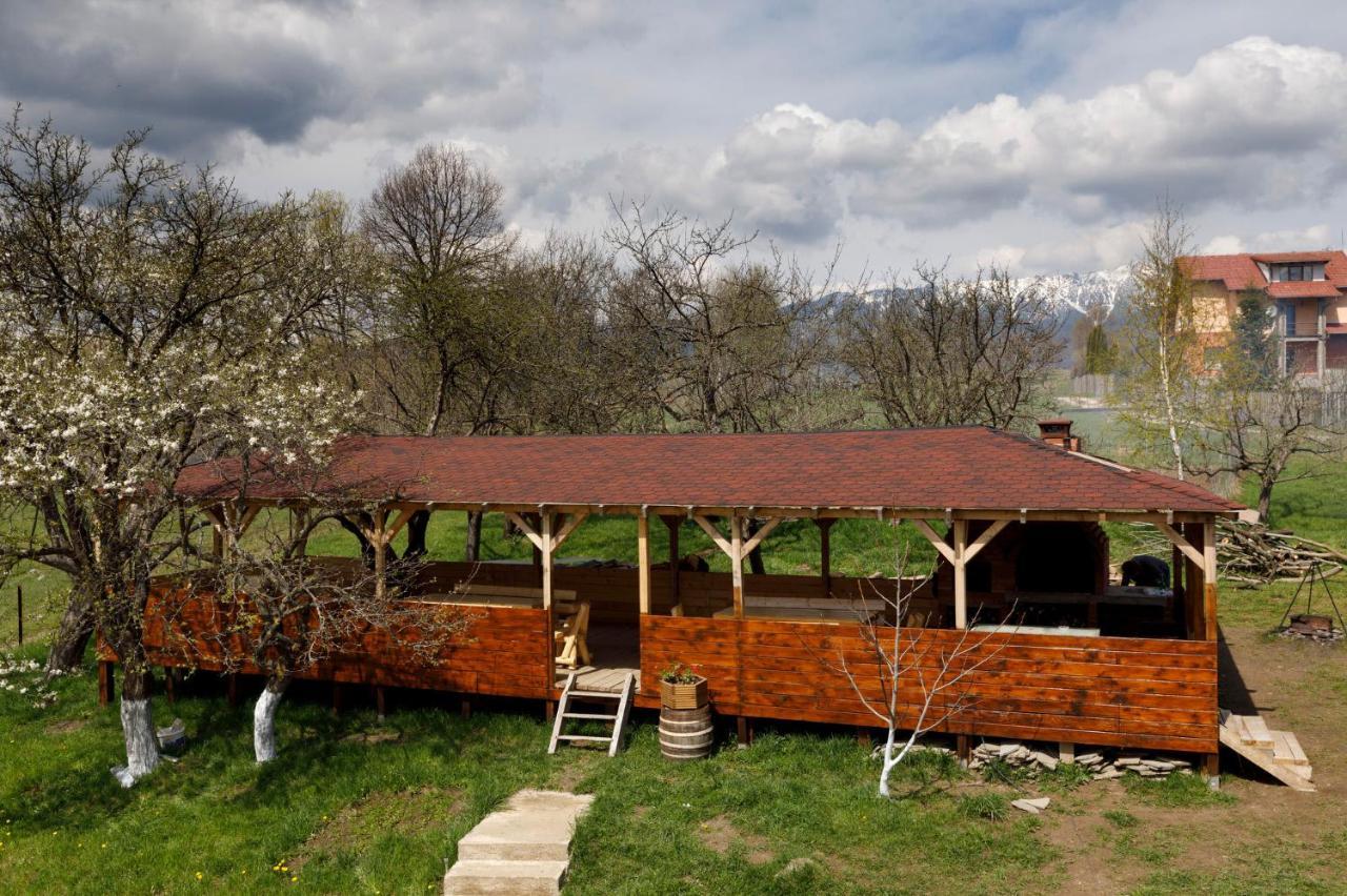 Transylvanian House Drumu Carului Exteriör bild